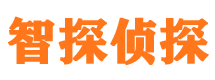 屏边市调查公司